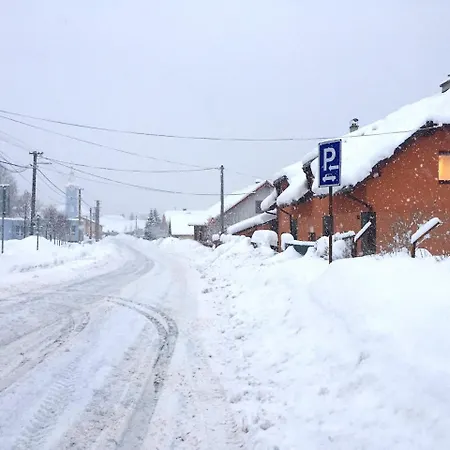 Dvojizbovy Utulny 아파트 오슈차드니차