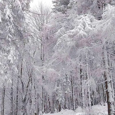Apartmán Dvojizbovy Utulny *